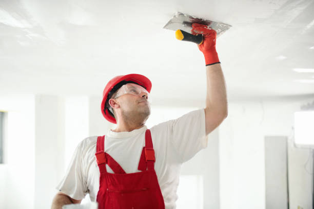 Best Wallpaper Removal and Painting  in Elroy, NC